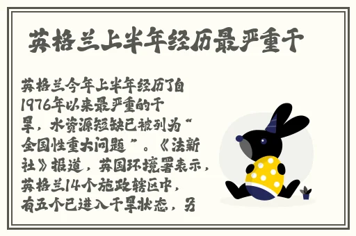 蜜茶1v.1h车厘茶